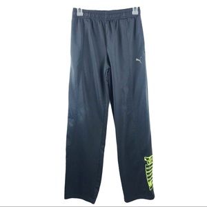 Puma Boys Gray Active Pants